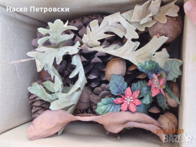 Декоративни шишарки, орехи, жълъди, кестени и САХАРСКИ пясък., снимка 6 - Декорация за дома - 28265208