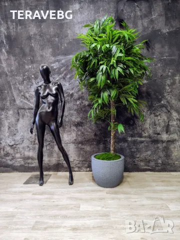 Изкуствени дървета 