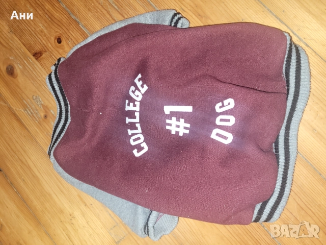 Кучешки якета-S размер, снимка 2 - За кучета - 51659976