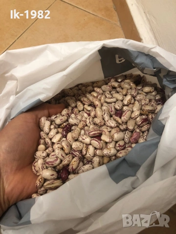 Шарен боб от Родопите , снимка 2 - Хранителни добавки - 51207837