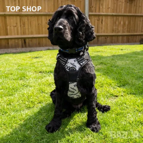 Нагръдник за кучета Battersea M, снимка 6 - За кучета - 49500307