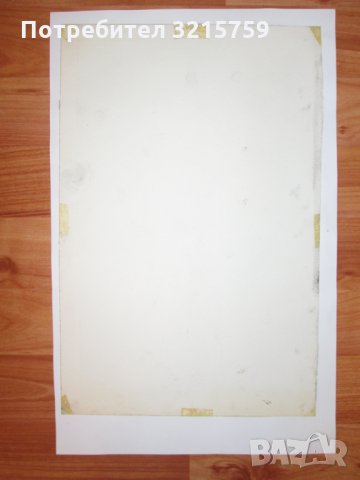 Картина суха игла, Доротея Димчева, 1995г., снимка 5 - Картини - 35278552