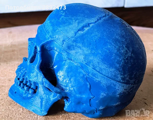 3D принтиран анатомичен череп – детайлен и стилен декор, снимка 2 - Други - 49012075