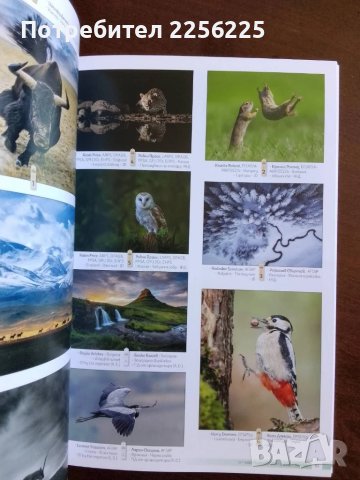 Девети международен фото салон Пловдив 2022г, снимка 8 - Енциклопедии, справочници - 50695939