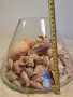 масивна стъклена купа с колекция морски миди, рапани и охлюви   7/4, снимка 8