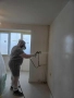 Професионално машинно боядисване с латекс - апартаменти и входове на блокове, снимка 3