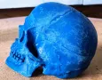 3D принтиран анатомичен череп – детайлен и стилен декор, снимка 2