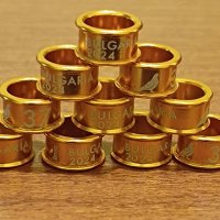 Алуминиеви пръстени 2024, снимка 7 - Гълъби - 35744648