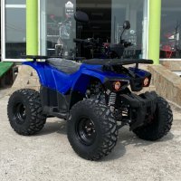 Бензиново ATV Max Motors Grizzly 125cc Blue Автоматични Скорости, снимка 2 - Мотоциклети и мототехника - 37774699