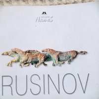 Rusinov - албум, снимка 1 - Други - 37228533
