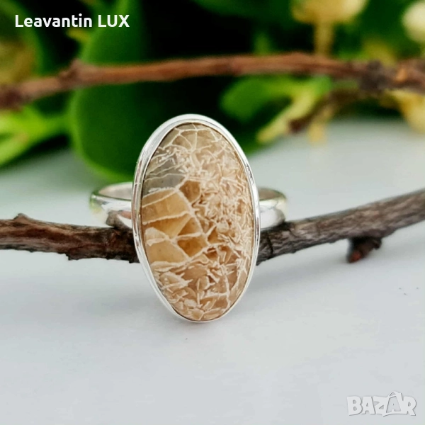 ✨ Сребърен пръстен с фосилен корал Petoskey, снимка 1