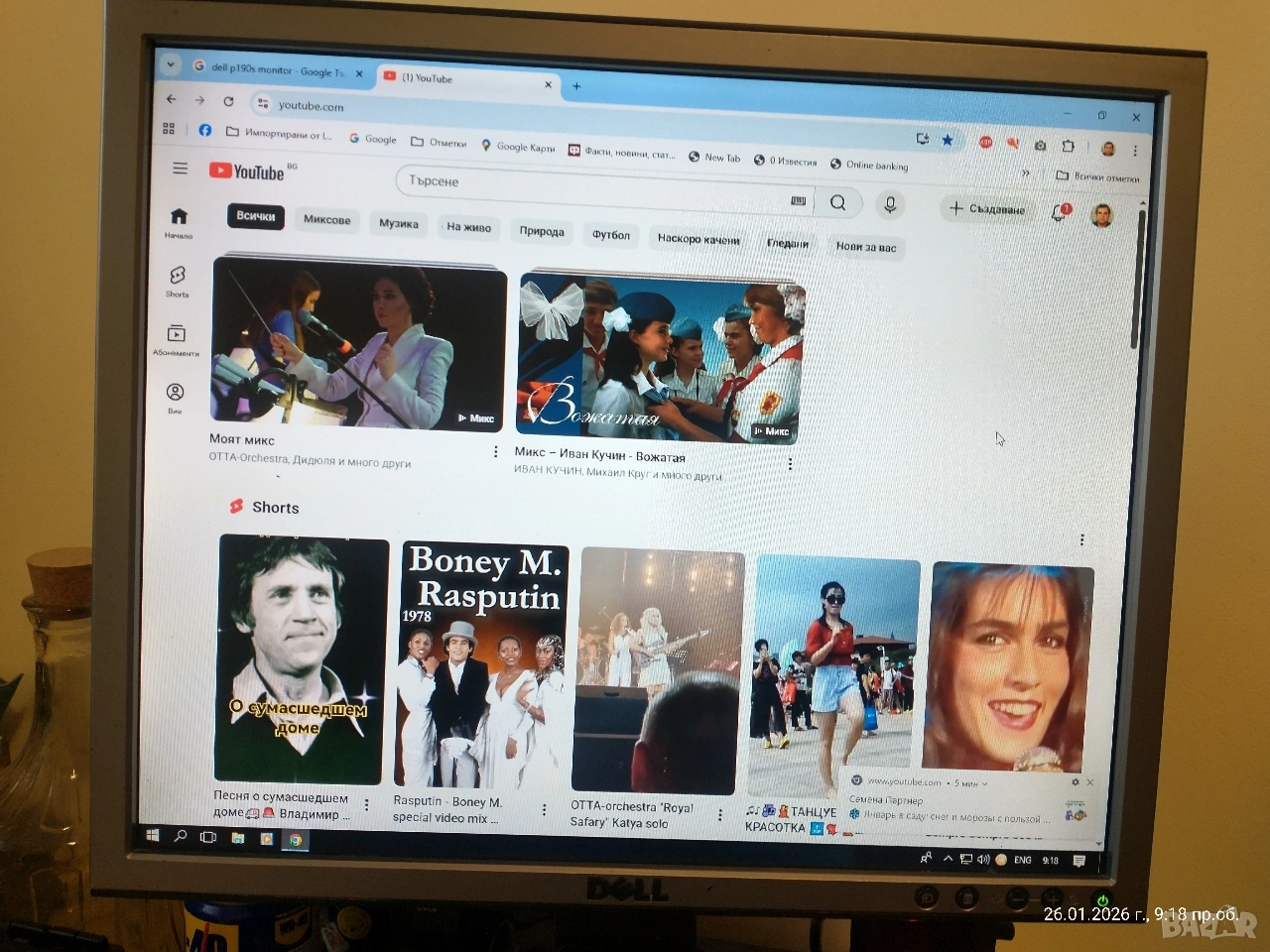 Монитор Dell Professional P190S, снимка 1
