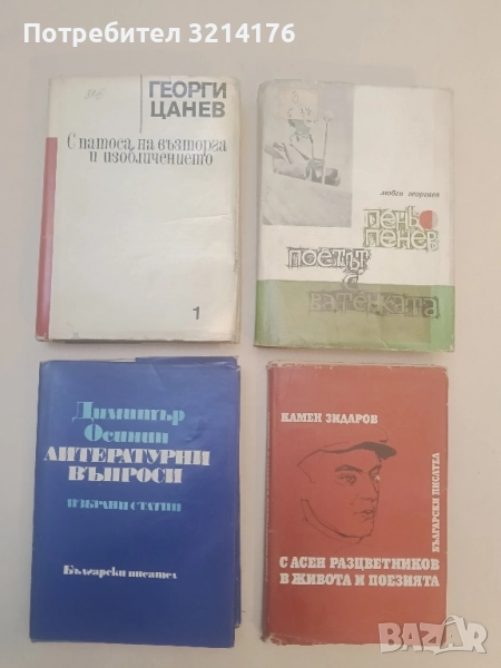 Литературни въпроси. Избрани статии - Димитър Осинин, снимка 1