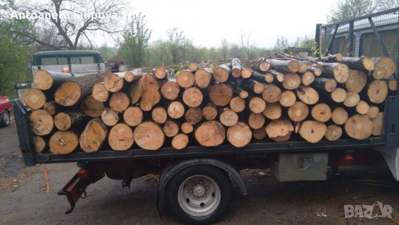 Дърва за огрев бук,дъб,цер и габър, снимка 1