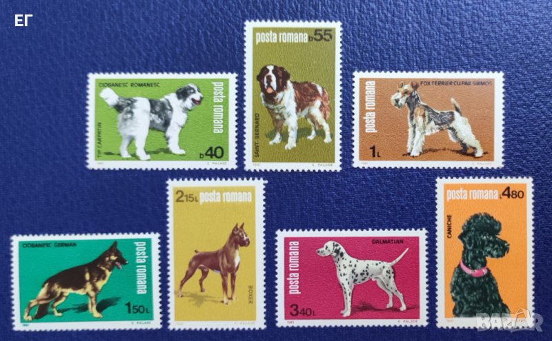 Румъния, 1981 г. - пълна серия чисти марки, кучета, 1*37, снимка 1