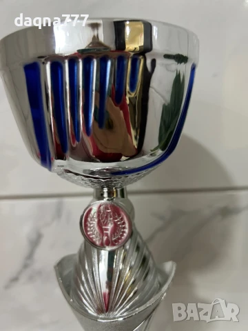 Наградна купа Германия, снимка 13 - Колекции - 50737933