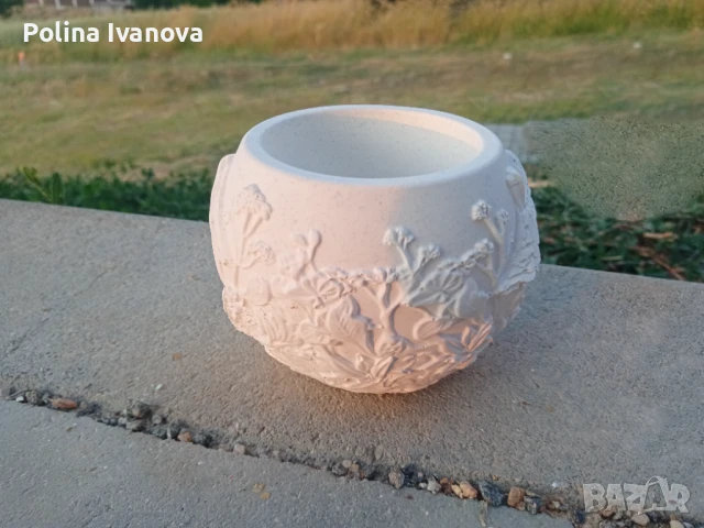 Саксии/ кашпи за сукуленти/ кактуси, снимка 7 - Стайни растения - 50854780