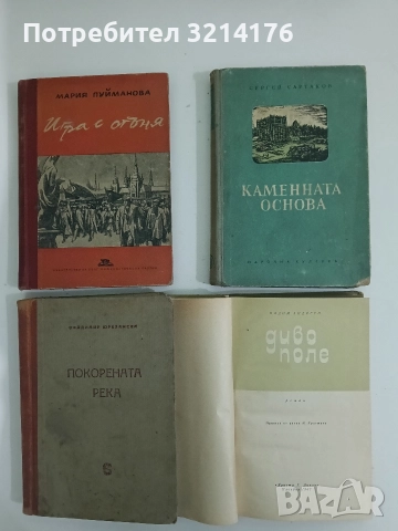 Каменната основа - Сергей Сартаков