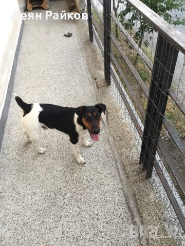 Фокстроиер Ловен