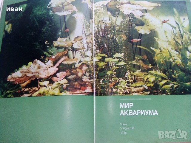 Мир аквариума - Г.Романишин,В.Мишин - 1986г., снимка 4 - Други - 36936774