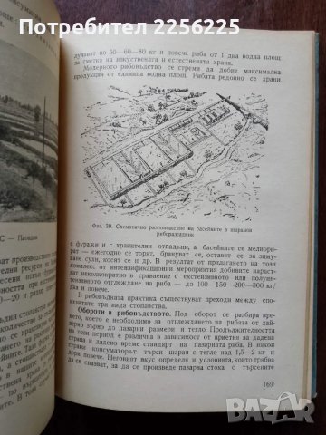 Ръководство по рибовъдство, снимка 3 - Специализирана литература - 50427706