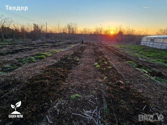 Дървесен чипс за мулчиране и компостиране – доставка с камион, снимка 8 - Строителни материали - 52259025