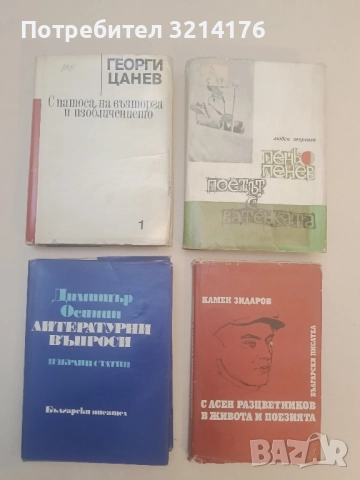 Литературни въпроси. Избрани статии - Димитър Осинин