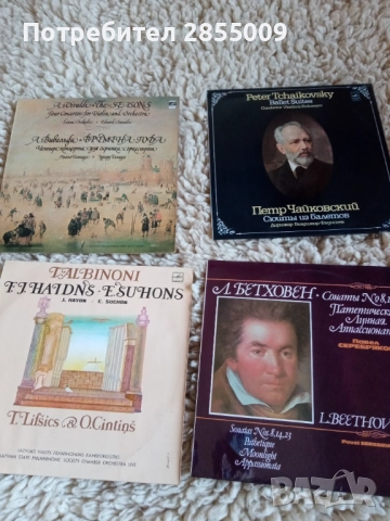 Грамофонни плочи, снимка 14 - Грамофонни плочи - 52402895