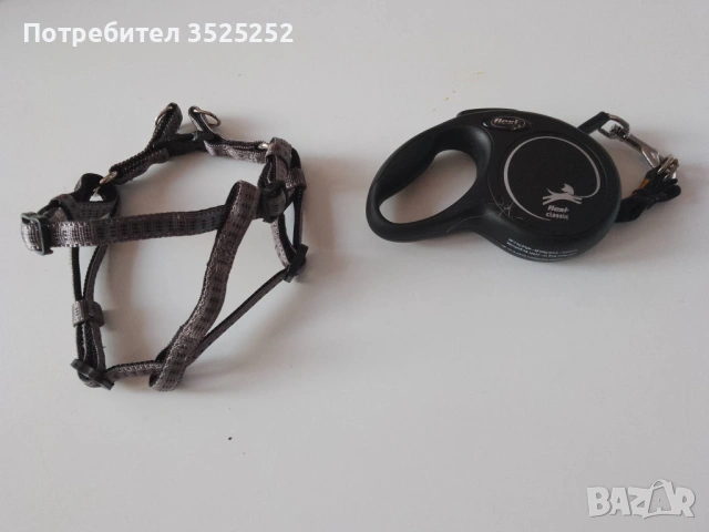 ПРОДАВАМ  БЯЛ  ЖЕНСКИ  СЪРНИСТ ПИНЧЕР  НА  2 М.  , снимка 6 - Пинчер - 53218338