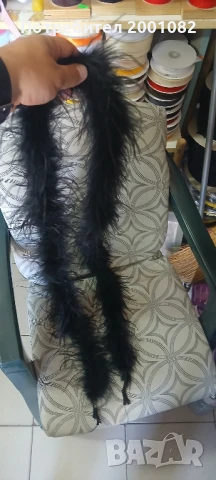 боа от пера, ширит пера