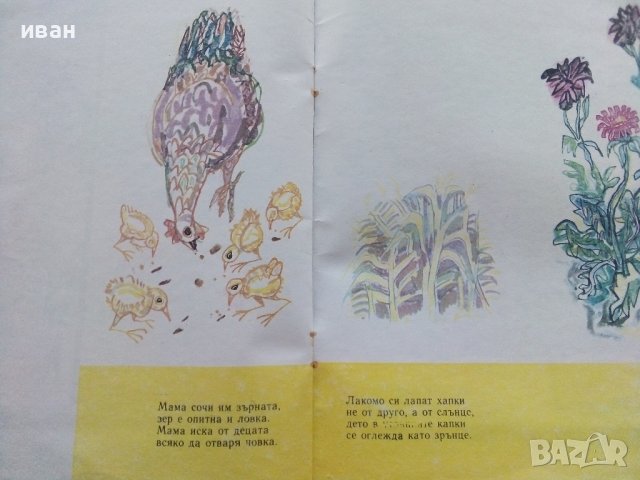 Големите и Малките - Атанас Пацев,Марко Ганчев - 1980г., снимка 5 - Детски книжки - 43549818