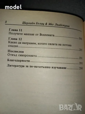 Силата на потока - Шарлийн Белиц, Мег Лъндстром, снимка 3 - Други - 48966487