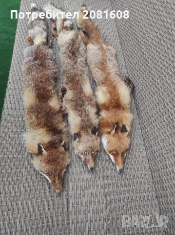 Лисица яка естествена кожа 3 броя , снимка 3 - Други - 37676348