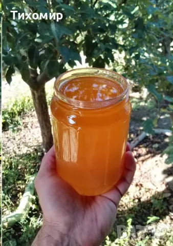 Пчелен мед, Букет с букет реколта 2025, снимка 2 - Пчелни продукти - 26615530