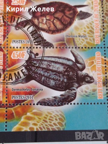 Пощенски марки чиста комплектна серия КОСТЕНУРКИ за колекция декорация поща Конго,Чад 29507, снимка 6 - Филателия - 37722961