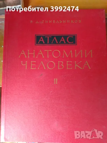 Атлас по анатомия на човека, 2-ри том на руски