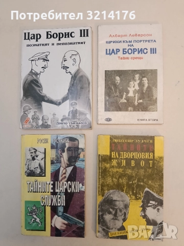 Щрихи към портрета на цар Борис III. Книга 2. Тайни срещи - Алберт Леверсон