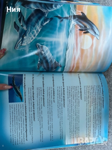 101 Тайни на делфините, снимка 4 - Други - 51647944