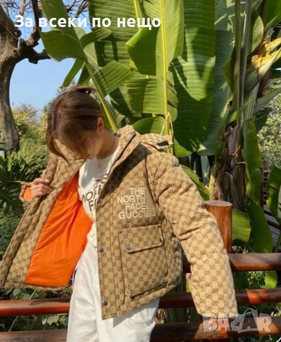 The North Face Дамско Бежово Зимно Яке С Качулка Дъ Норт Фейс Код E1070, снимка 2 - Якета - 52316263