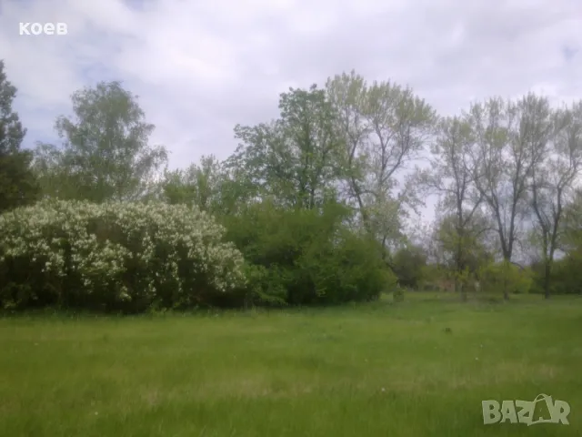 Създаваме ПЧЕЛИНИ от А до Я и подготвяме участие в Пчеларските програми на ДФ Земеделие, снимка 5 - Други - 48150261