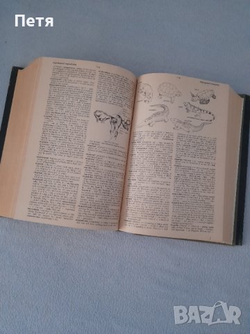 Oxford advanced learners dictionary , снимка 4 - Чуждоезиково обучение, речници - 39430814