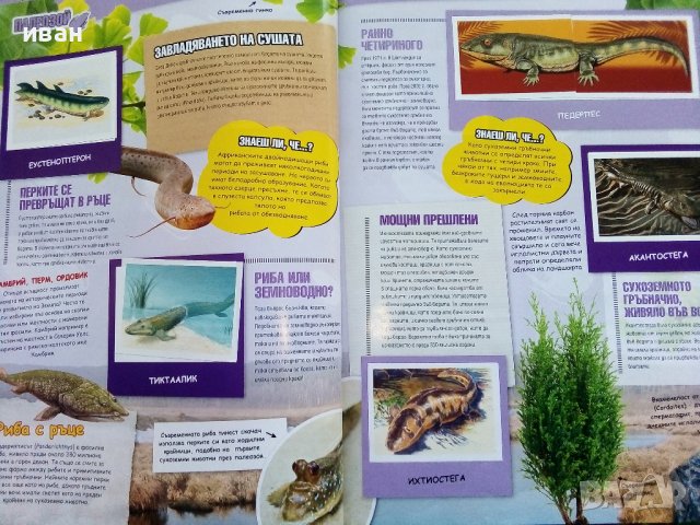 Стикер- албум "Праисторически времена" - Била - 2012г., снимка 6 - Колекции - 39309708