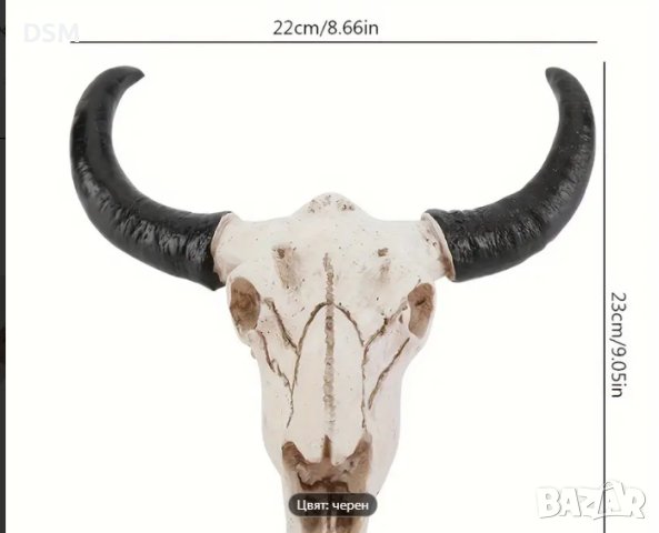 Пано Скелет Бик с Рога  за Декорация на Стена 23см, снимка 3 - Декорация за дома - 43953022
