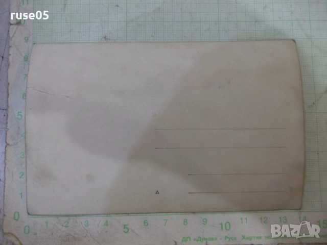 Снимка на двама униформени пред лъва стара, снимка 2 - Колекции - 52020895