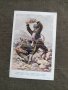 Продавам пощенски картички с български артисти , певци и певици,групи,космонавти, снимка 6