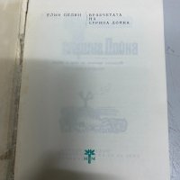 Врабчетата на стрина Дойна - Елин Пелин, снимка 2 - Българска литература - 34737501