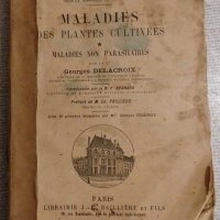 Антикварна илюстрирана земеделска енциклопедия от 1908 година на френски език, снимка 2 - Енциклопедии, справочници - 27266196