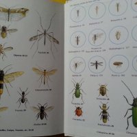 Инсектите в Европа - "Les insects d'Europe" - цв. издание на френски,нова/2. Ентомология в картинки , снимка 3 - Специализирана литература - 32754826