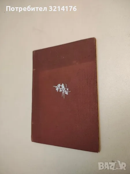 Злощастна Коледа и Честита Нова Година - Хезба Стретонъ (1893, Самоквъ, прев. К.Т. Бояджиевъ), снимка 1