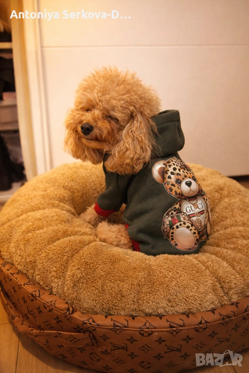 Дрешки за кучета, легла и къщички, снимка 1